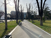 В Краснодаре и крае в середине рабочей недели погода приготовила облачный день с осадками, туманом и дневным теплом до +10°С.