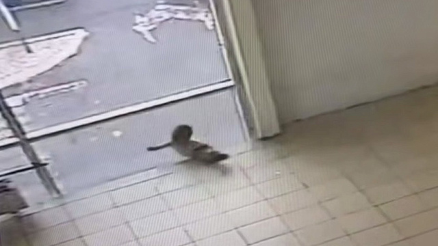 СК завел дело после смертельного падения ребенка в гипермаркете Новороссийска