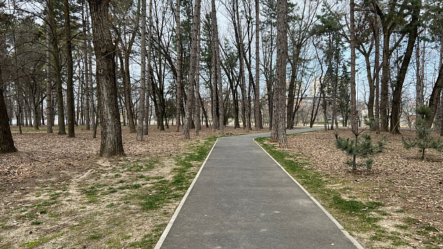 В Краснодаре и крае 6 марта ожидается неустойчивая погода с осадками, метелью в горах и штормовым ветром