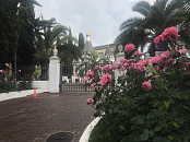 В Сочи, Геленджике, Анапе, а также на курортах Кубани в выходные дни прогнозируют «температурные качели» на фоне дождливой погоды