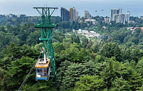 На Кубани в заповеднике «Утриш» найден редкий вид летучей мыши-вечерницы