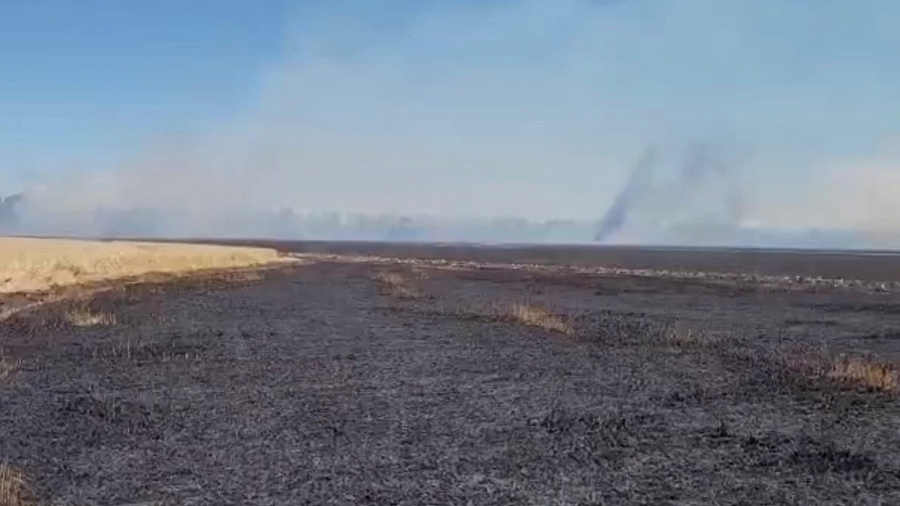В Краснодарском крае огонь уничтожил пшеничное поле на площади 35 гектаров 