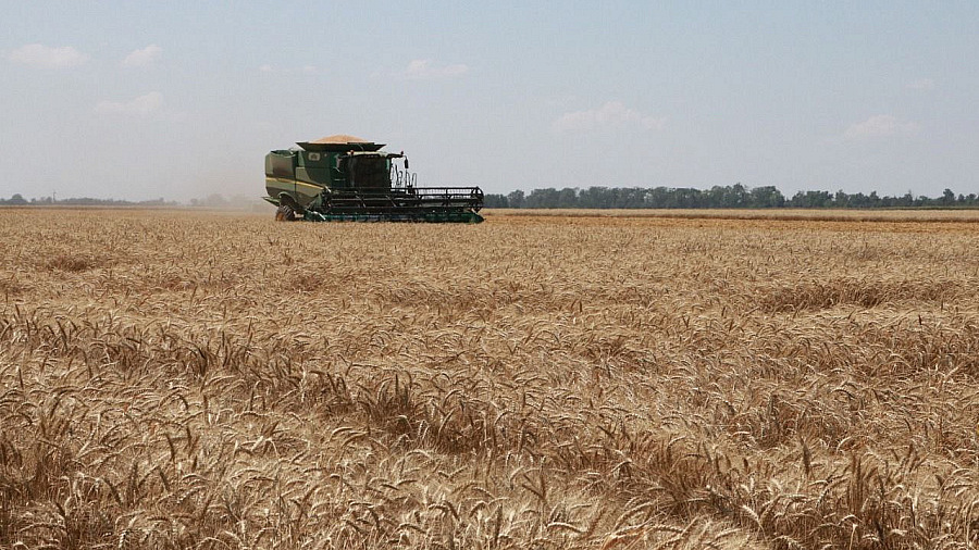 В Краснодарском крае аграрии собрали первый миллион тонн пшеницы