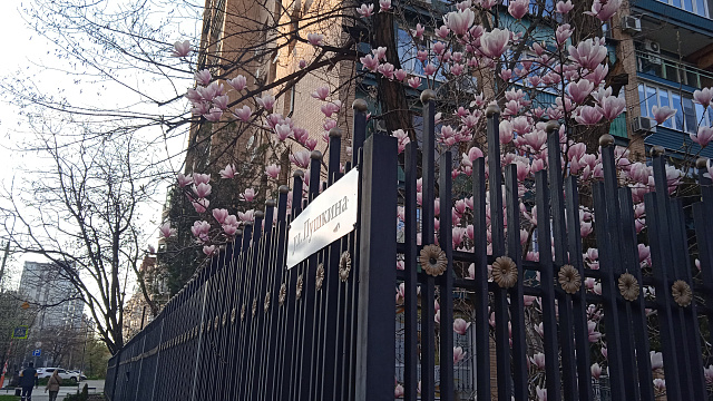 В Краснодаре и крае в субботу погода сохранит курс на тепло до +15°С, но с локальными дождями и усилением ветра