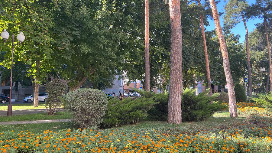 В Краснодаре и крае 5 сентября погода сохранит жаркий режим: до +31°С, сухо и ветрено местами