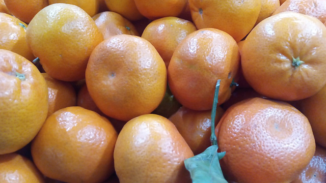 Мандариновый бум: на Кубань завезли более 12 тысяч тонн новогодних фруктов