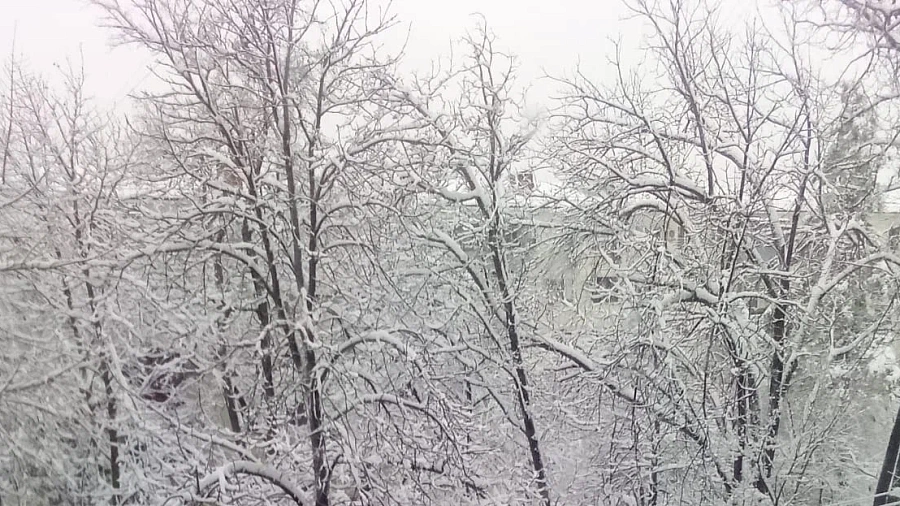 Более 1200 человек остаются без света в Туапсинском округе