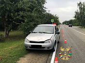 На Кубани запустят производство уникального мармелада для диабетиков