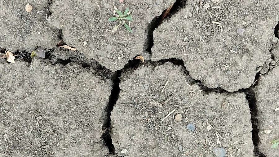 Краснодарский край на грани экологического кризиса из-за водного стресса