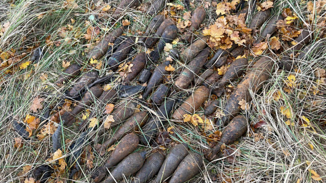 В Крымском районе обнаружили более 70 боеприпасов времен ВОВ