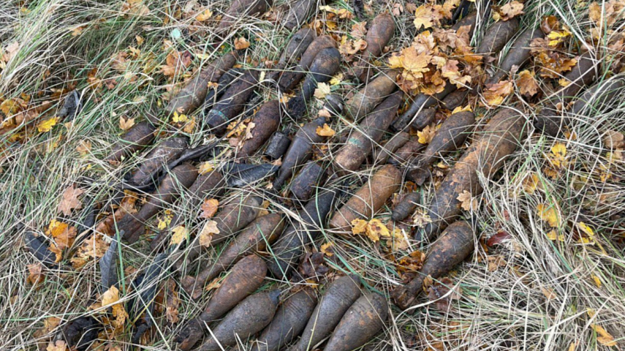 В Крымском районе обнаружили более 70 боеприпасов времен ВОВ