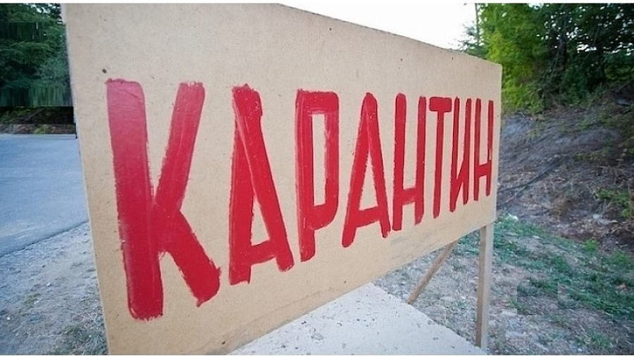 Карантин ввели в двух районах Краснодарского края