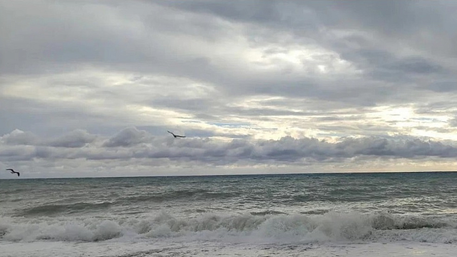 Нефтяное пятно у Новороссийска исчезло с радаров, но угроза сохраняется